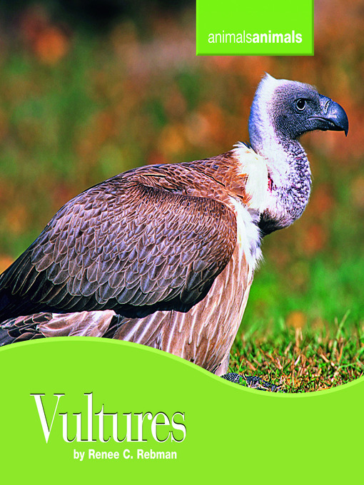 Title details for Vultures by Renee Rebman - Available